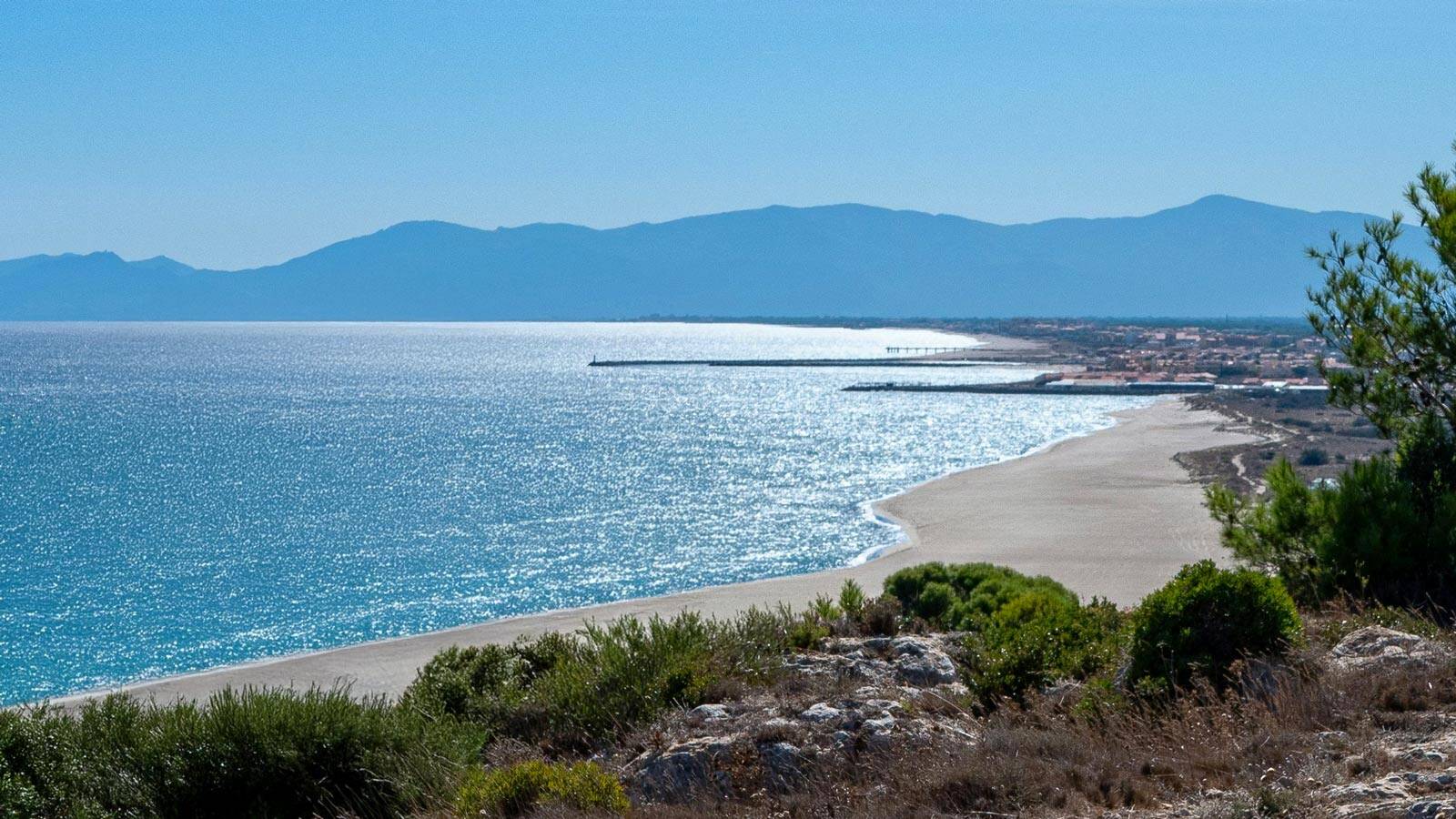 leucate